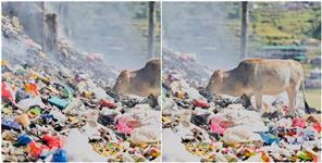 Uttar Pradesh News: Plastic is spoiling the Himalayas government disobeying court orders