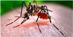 Uttarakhand Two people died due to dengue in Kotdwar and Haridwar salary of CMS and CMO banned due t