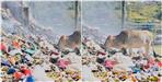 Plastic is spoiling the Himalayas government disobeying court orders