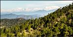 Uttarakhand has lost most of its forests to development